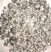 3dGRO Ileum Intestinal Organoids, Age 24 (Prep ht-206-I-CR)