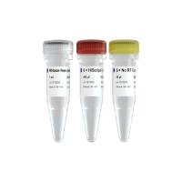 预混液形式的两步法RT-qPCR 选用试剂 HiScript II Q RT SuperMix for qPCR(R222)