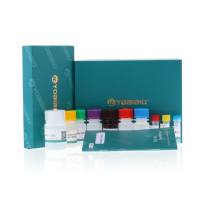 Mouse CD133 ELISA Kit（小鼠肿瘤干细胞标记物）-ELISA试剂盒