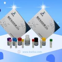 人神经丝轻链蛋白(NF-light)elisa试剂盒