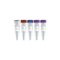 HiScript II 1st Strand cDNA Synthesis Kit （高效cDNA 一链合成试剂盒）（R211）