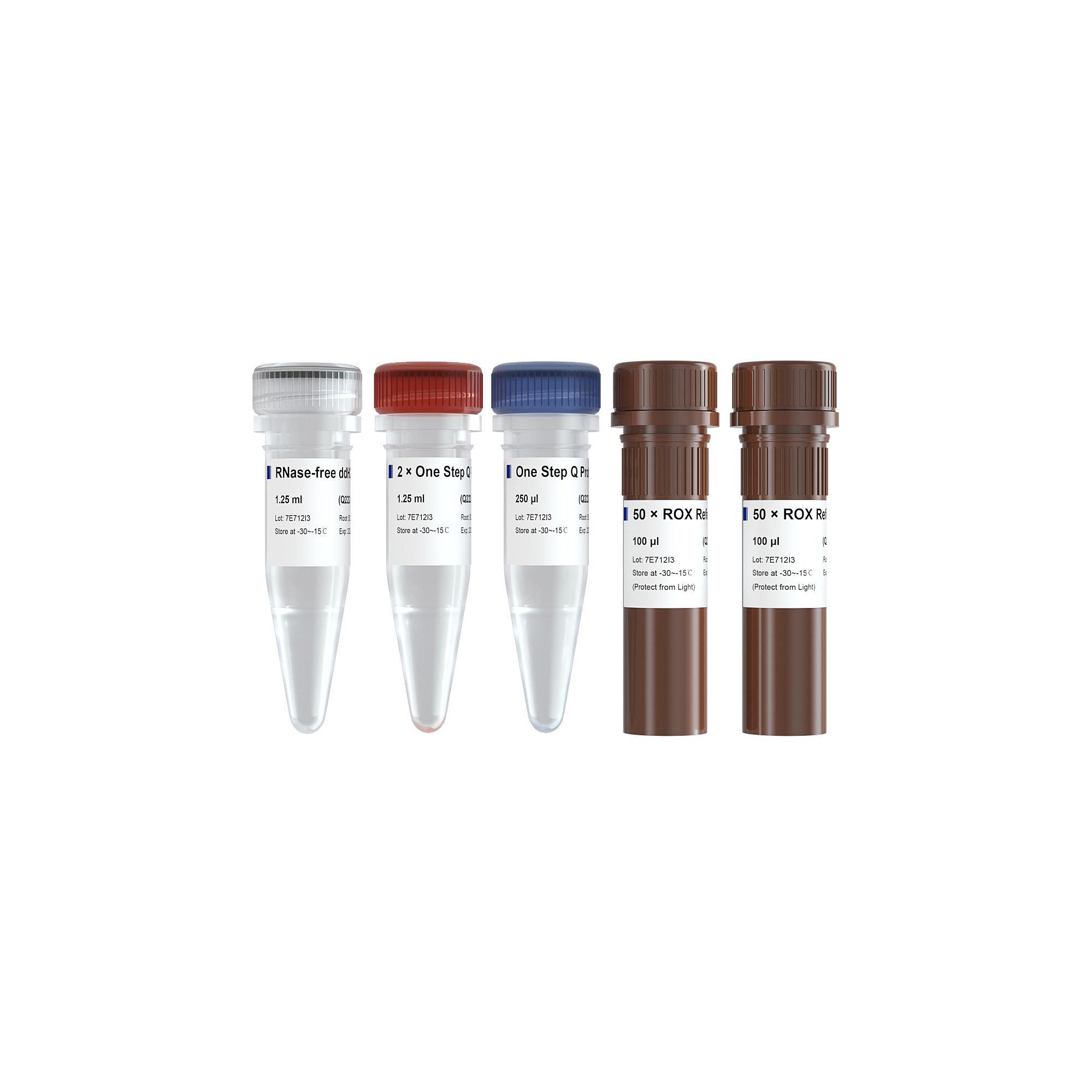 探针法qRT-PCR试剂盒 HiScript II One Step qRT-PCR Probe Kit（Q222）