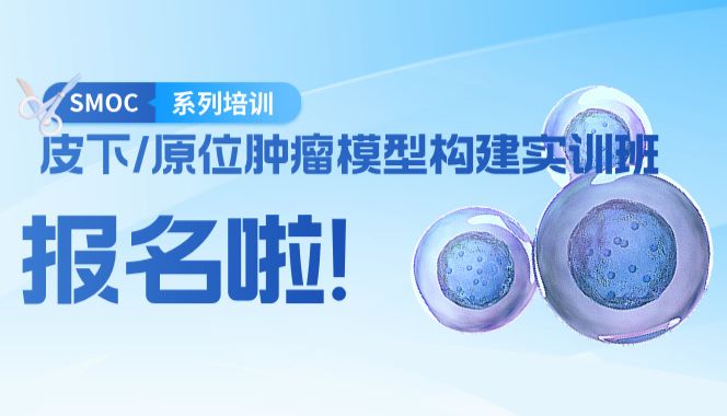 皮下/原位肿瘤模型构建实训班报名啦