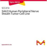 默克Merck S462 Human Peripheral Nerve Sheath Tumor Cell Line