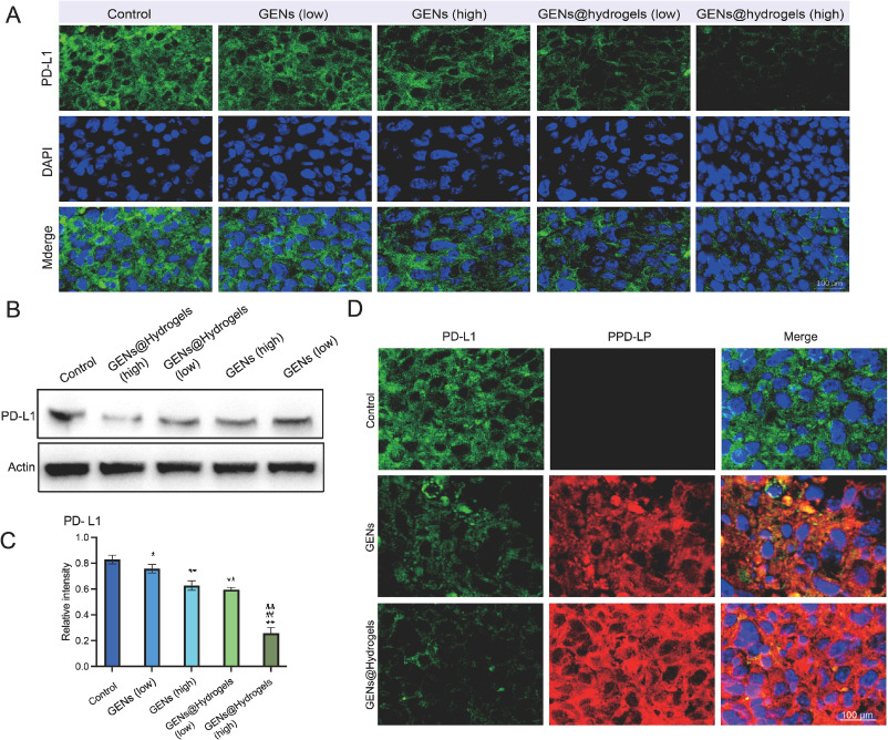 外泌体研究 外泌体研究