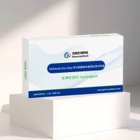 GMSteadyOne-Step 荧光素酶报告基因检测试剂盒