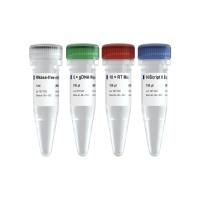 microRNA 逆转录产品（茎环法） miRNA 1st Strand cDNA Synthesis Kit (by stem-loop)（ MR101）