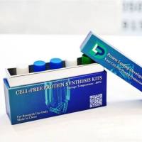 无细胞蛋白表达试剂盒（增强版）