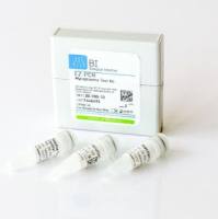 VivaCell(BI)货号20-700-20支原体检测试剂盒(EZ-PCR Mycoplasma