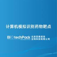 计算机模拟识别药物靶点