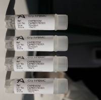 Human PBMC分离细胞(冻存服务)19121878899上海睿安生物