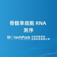 骨髓单细胞 RNA 测序