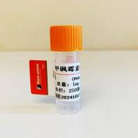 甲砜霉素单克隆抗体（28A7细胞株）；甲砜霉素抗体；Chloramphenicols 抗体；甲砜霉素抗原