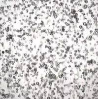 3dGRO® Pancreatic Organoids (PPTO.30)