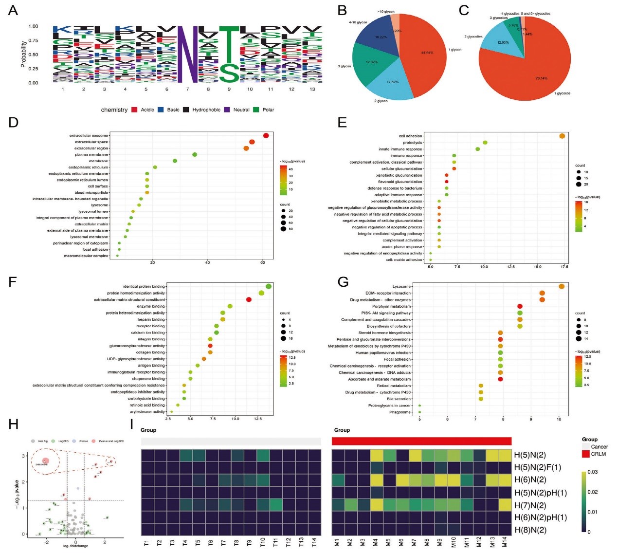 北京大学人民医院胃肠外科团队发现CTSD N-糖基化修饰影响结直肠癌肝转移