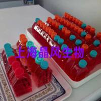 小鼠神经元细胞NSC34/LUC(带荧光素酶)价格