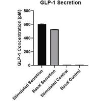 默克Merck GLUTag Mouse Colonic Endocrine Cell Line