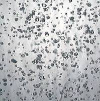 3dGRO® Pancreatic Organoids (PPTO.13)