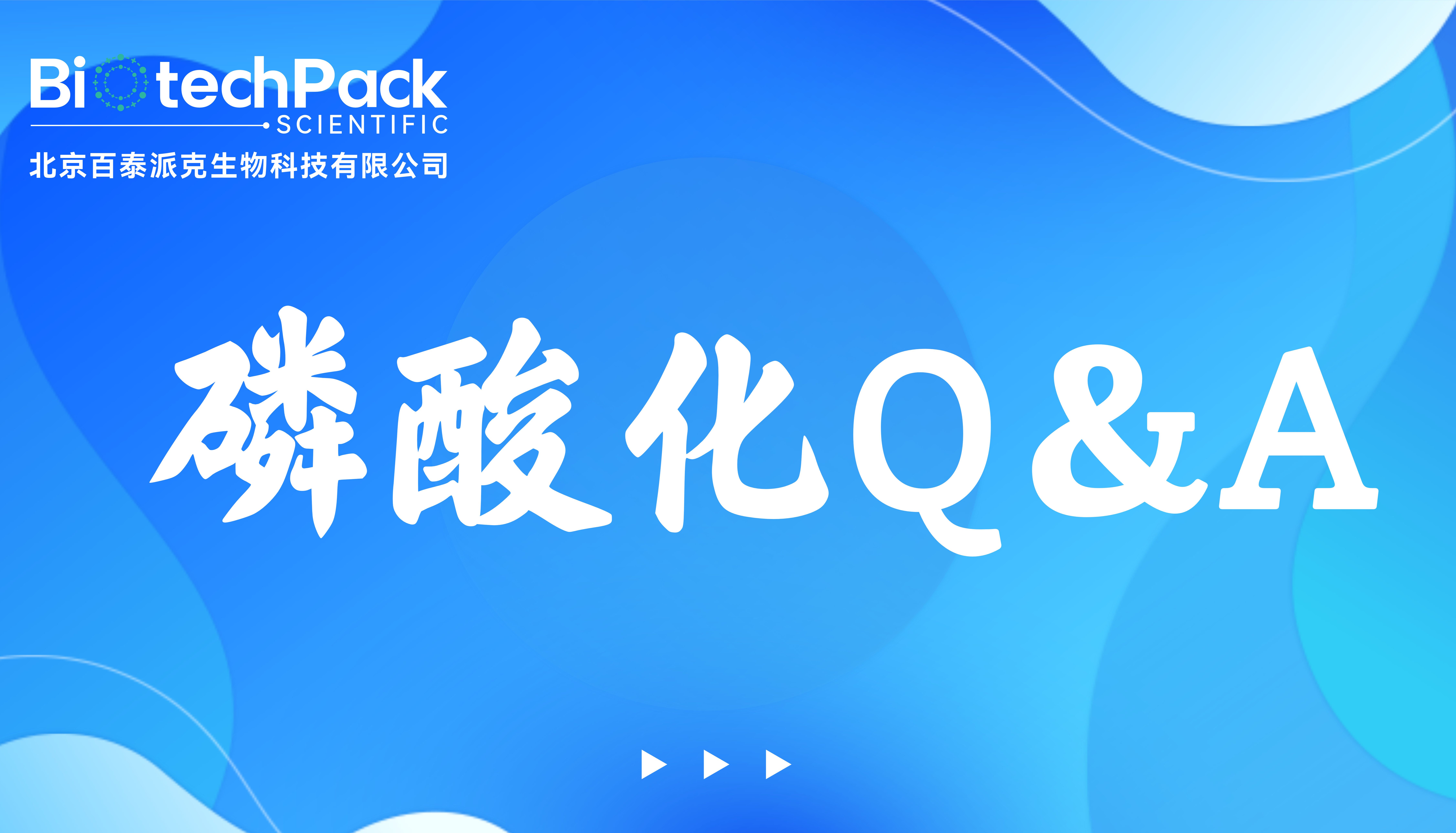 磷酸化Q＆A