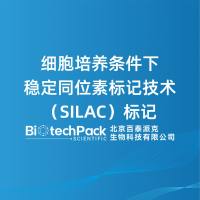 细胞培养条件下稳定同位素标记技术（SILAC）标记
