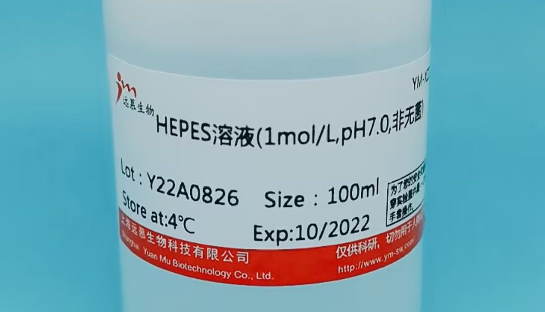 【细胞培养基】常用的添加成份及使用注意事项