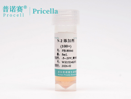 N-2 添加剂（100×）科研实测：无血清配方助力神经细胞高效培养