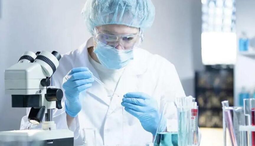 深度迁移学习驱动的自动化细胞死亡分类揭示新型铁死亡诱导剂在 B-ALL 亚型中的作用机制