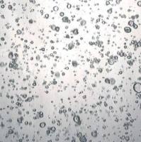 3dGRO® Pancreatic Organoids (PPTO.26)