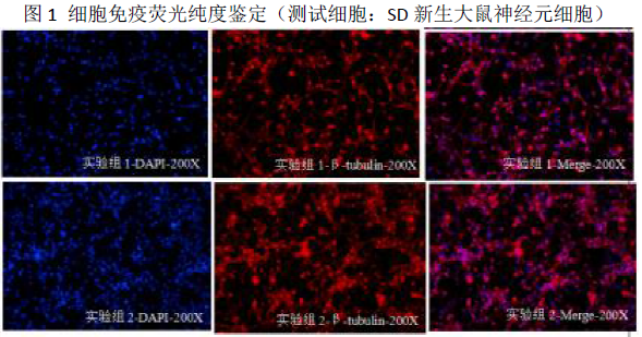 1699068369807592.png image.png