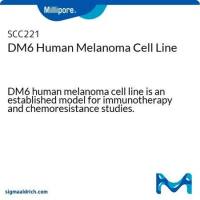 DM6 Malignant Melanoma Cells