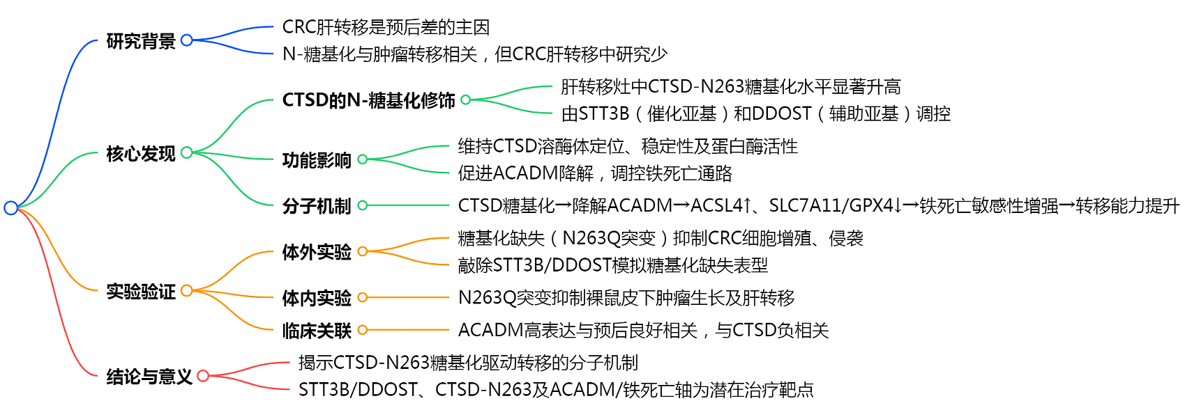 北京大学人民医院胃肠外科团队发现CTSD N-糖基化修饰影响结直肠癌肝转移