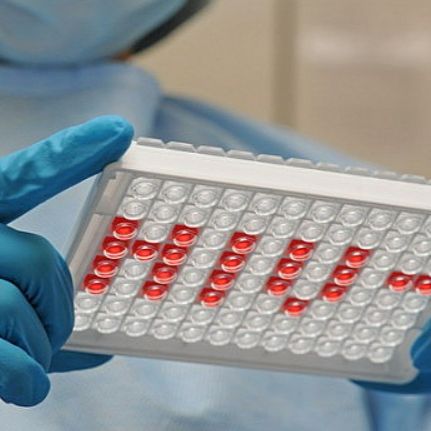 免疫印迹系列检测试剂盒-德国DRG原装进口