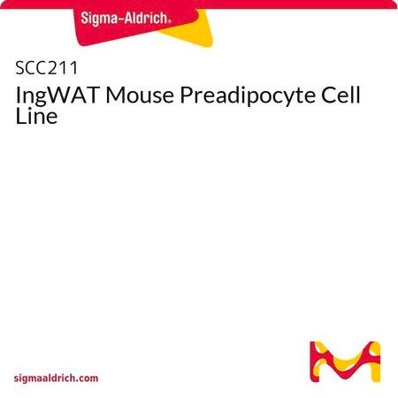 默克Merck IngWAT Mouse Immortalized Preadipocyte Cell Line