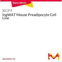  默克Merck IngWAT Mouse Immortalized Preadipocyte Cell Line