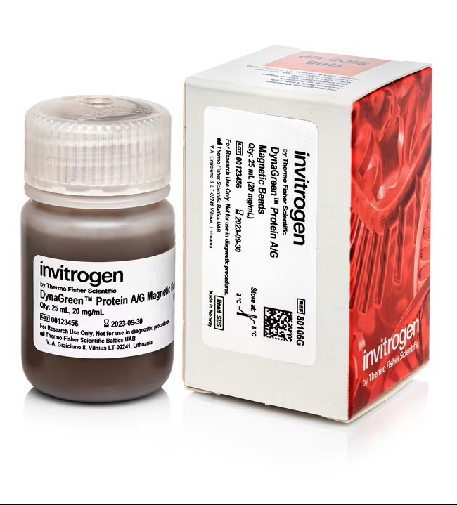 【新闻图片】Invitrogen™ DynaGreen™ Protein AG 磁珠.jpg