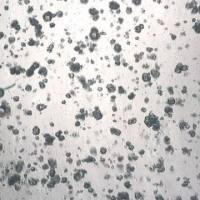 3dGRO® Pancreatic Organoids (PPTO.49)