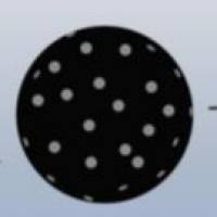 碳纳米颗粒包裹百里醌和阿霉素 CNP@Dox/TQ
