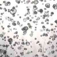 3dGRO® Pancreatic Organoids (PPTO.90)