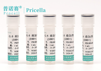 G-5添加剂（100×）无血清配方：星形胶质细胞培养的科研级解决方案