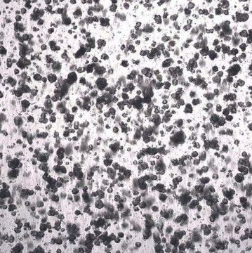 3dGRO® Colorectal Organoids (POP.074.G4)