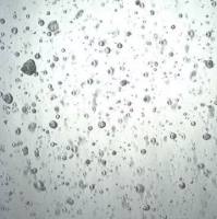 3dGRO® Colorectal Organoids (POP024.G4)