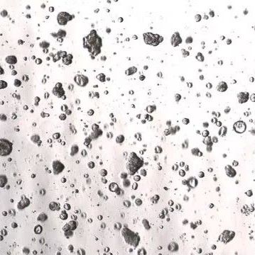 3dGRO® Colorectal Organoids (CSC.073.G1)