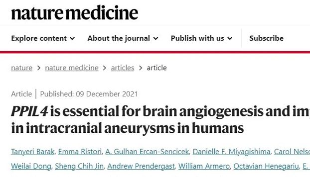 IF=58.7丨Nat.Med.：利用斑马鱼揭示PPIL4对脑血管生成至关重要，并与颅内动脉瘤相关