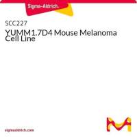 默克Merck YUMM1.7D4 Mouse Melanoma Cell Line