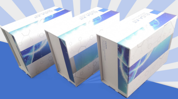 ELISA 检测出现灰区结果分析