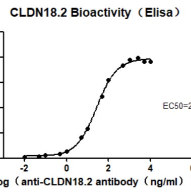 Claudin-18.2 Full-Length Protein（Nanodisc）