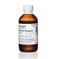 Trizol试剂现货热销 I 维百奥生物