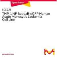  默克Merck THP-1 Nf kappa beta eGFP Human Acute Monocytic Leukemia Cell Line