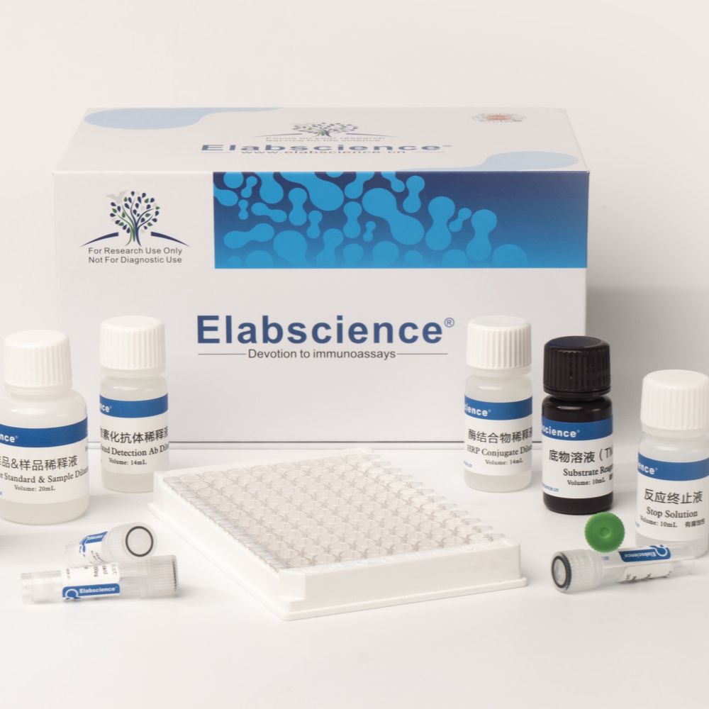 Elabscience-未包被人肿瘤坏死因子相关弱凋亡诱导因子(TWEAK)酶联免疫吸附测定试剂盒