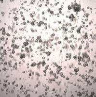 3dGRO® Colorectal Organoids (CSC.406N)